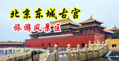 中国破处视频中国北京-东城古宫旅游风景区